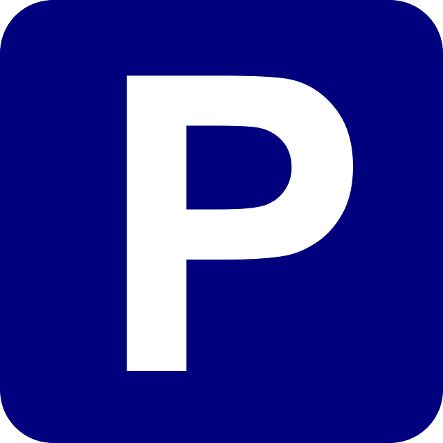 logo parkingu enter-park